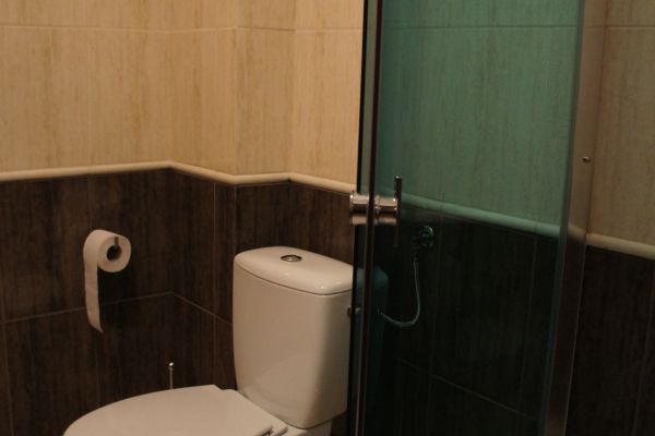 Dworska Elektrownia (Kędzierzyn-Koźle)